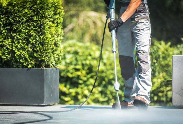 Best Sign and Awning Cleaning  in Stem, NC
